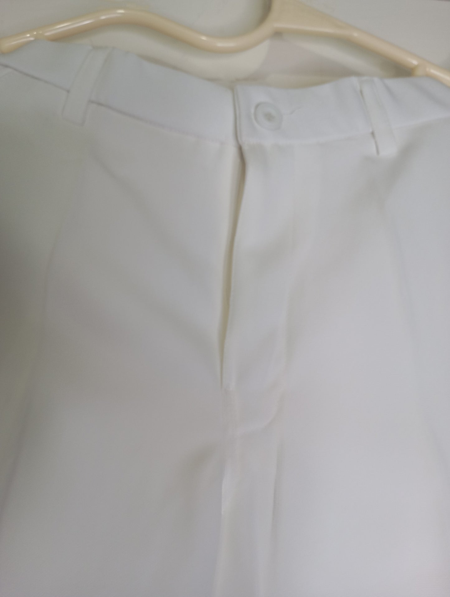 SLEEK EDGE FORMAL PANT